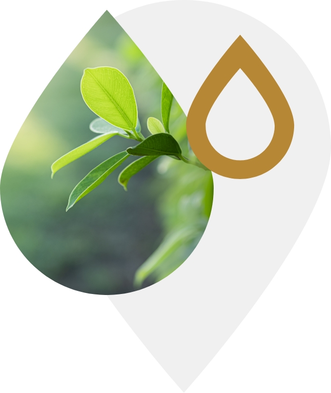 Une démarche environnementale forte